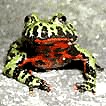 Avatar de l’utilisateur